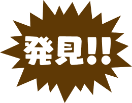 発見！