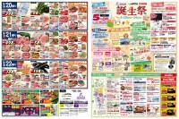 page 1 thumbnail