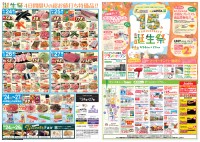 page 1 thumbnail