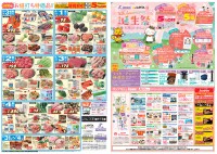 page 1 thumbnail